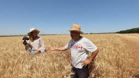 Аркадий Злочевский: Зерновой рынок РФ идёт по катастрофическому пути Аргентины